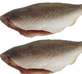 Jumbo Croaker fish – 2 pieces