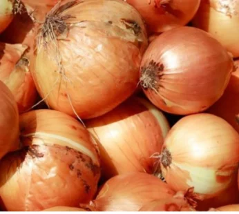 Onions portion size