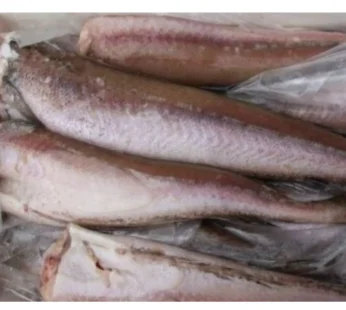 Box of Whiting Fish | Pacific Hake Fish | Panla Full Box