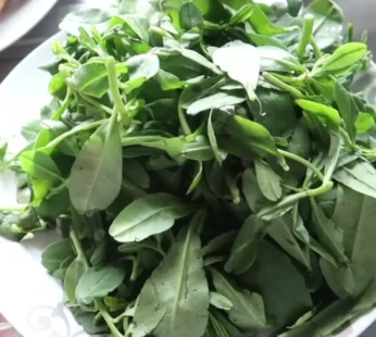 Water Leaf Vegetables – 500g